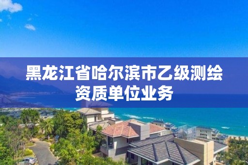 黑龙江省哈尔滨市乙级测绘资质单位业务