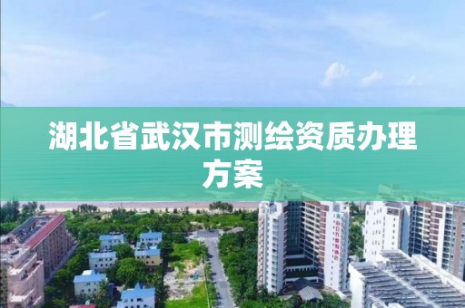 湖北省武汉市测绘资质办理方案