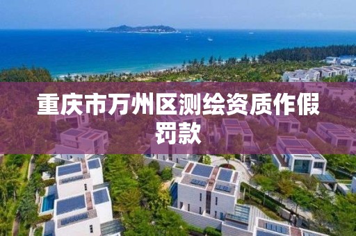 重庆市万州区测绘资质作假罚款