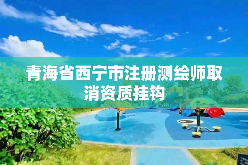 青海省西宁市注册测绘师取消资质挂钩