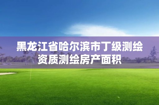 黑龙江省哈尔滨市丁级测绘资质测绘房产面积