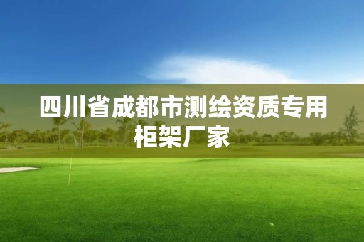 四川省成都市测绘资质专用柜架厂家