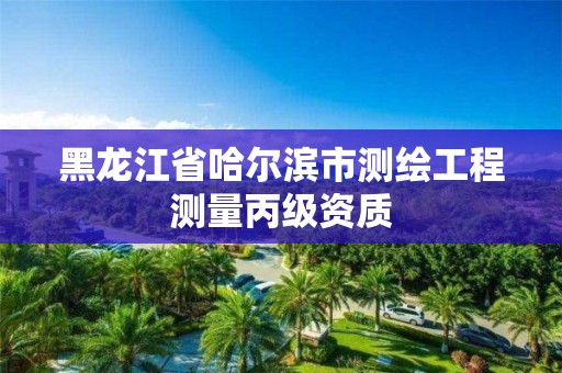 黑龙江省哈尔滨市测绘工程测量丙级资质