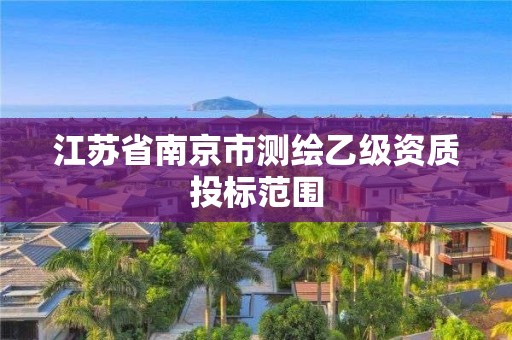 江苏省南京市测绘乙级资质投标范围