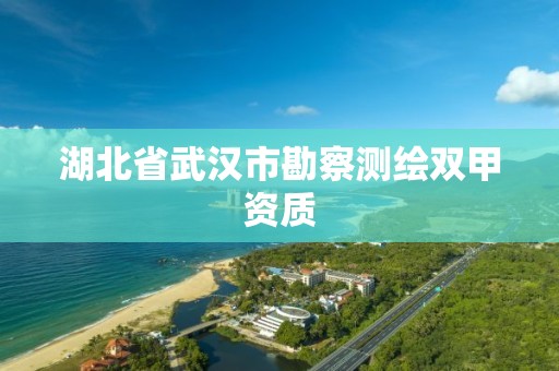 湖北省武汉市勘察测绘双甲资质