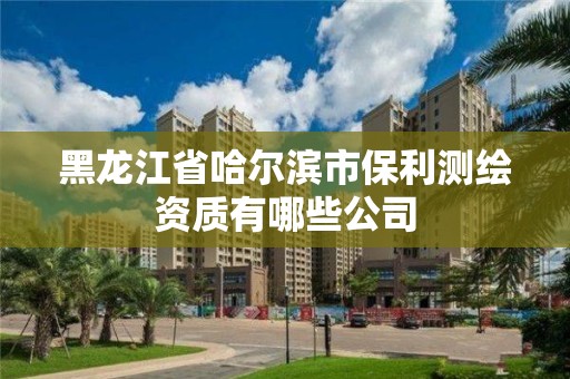 黑龙江省哈尔滨市保利测绘资质有哪些公司