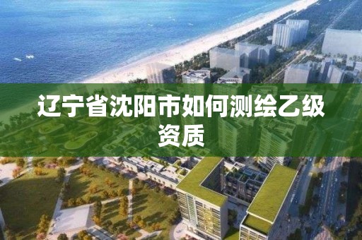 辽宁省沈阳市如何测绘乙级资质