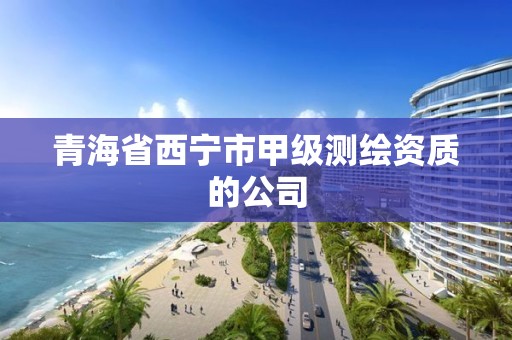 青海省西宁市甲级测绘资质的公司