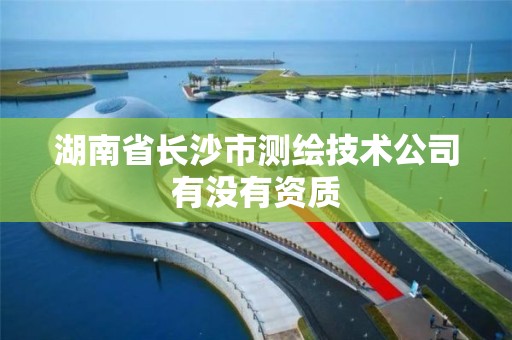 湖南省长沙市测绘技术公司有没有资质