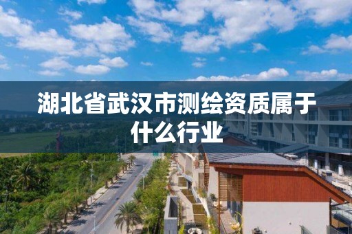 湖北省武汉市测绘资质属于什么行业