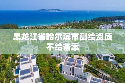 黑龙江省哈尔滨市测绘资质不给备案