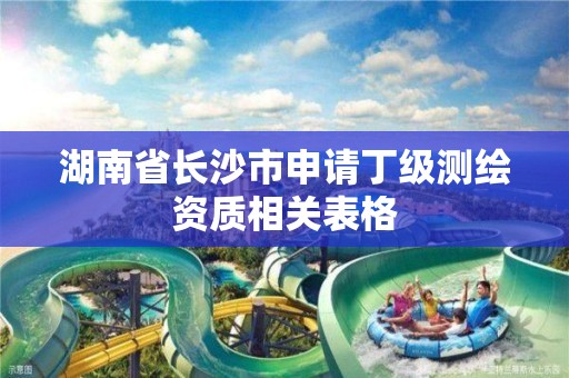 湖南省长沙市申请丁级测绘资质相关表格