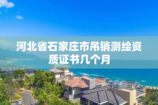 河北省石家庄市吊销测绘资质证书几个月