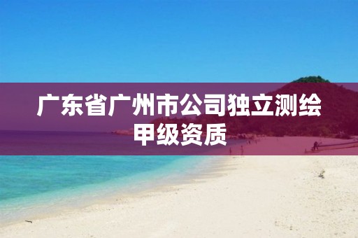 广东省广州市公司独立测绘甲级资质