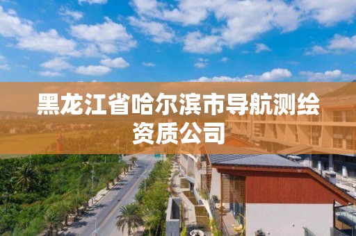 黑龙江省哈尔滨市导航测绘资质公司