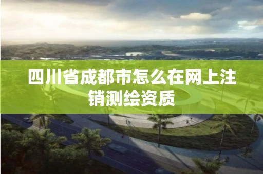 四川省成都市怎么在网上注销测绘资质