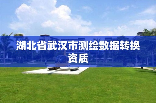 湖北省武汉市测绘数据转换资质