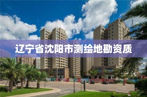 辽宁省沈阳市测绘地勘资质