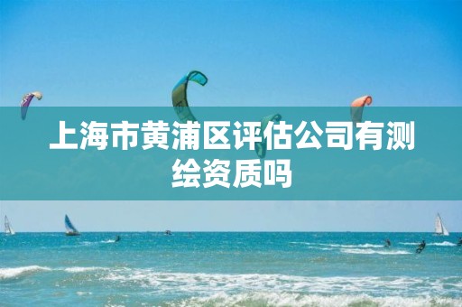 上海市黄浦区评估公司有测绘资质吗