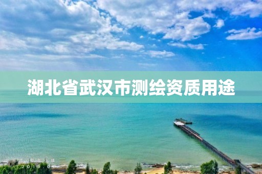 湖北省武汉市测绘资质用途