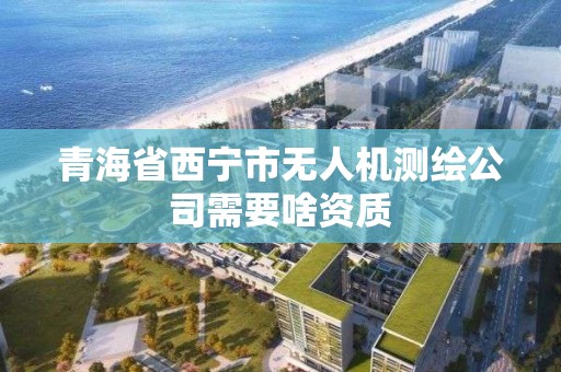 青海省西宁市无人机测绘公司需要啥资质