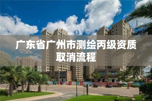 广东省广州市测绘丙级资质取消流程