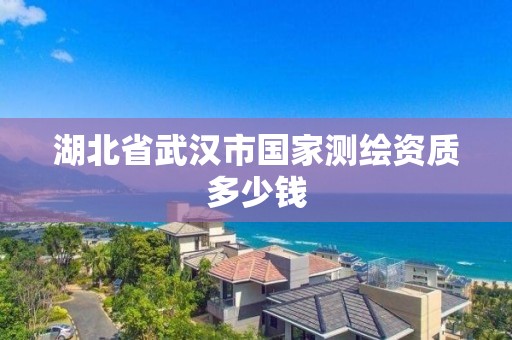 湖北省武汉市国家测绘资质多少钱