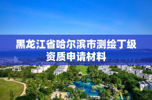 黑龙江省哈尔滨市测绘丁级资质申请材料