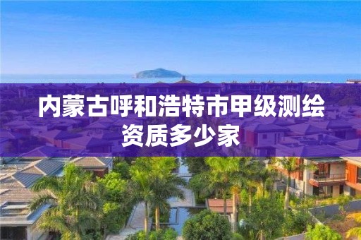 内蒙古呼和浩特市甲级测绘资质多少家