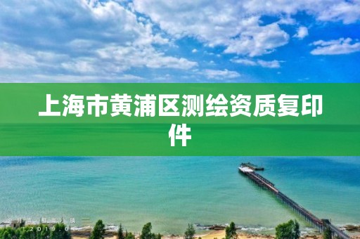 上海市黄浦区测绘资质复印件