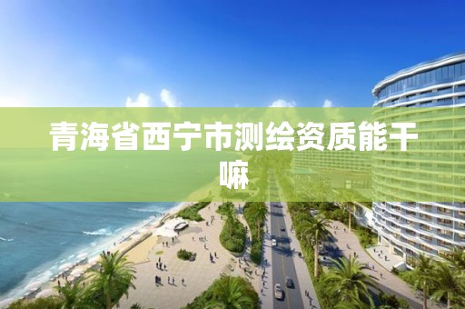 青海省西宁市测绘资质能干嘛