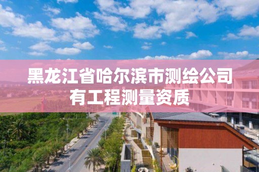 黑龙江省哈尔滨市测绘公司有工程测量资质