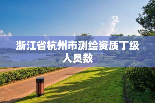 浙江省杭州市测绘资质丁级人员数