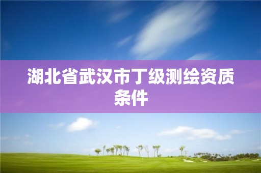 湖北省武汉市丁级测绘资质条件