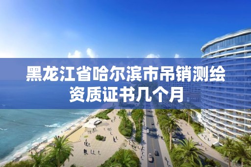 黑龙江省哈尔滨市吊销测绘资质证书几个月