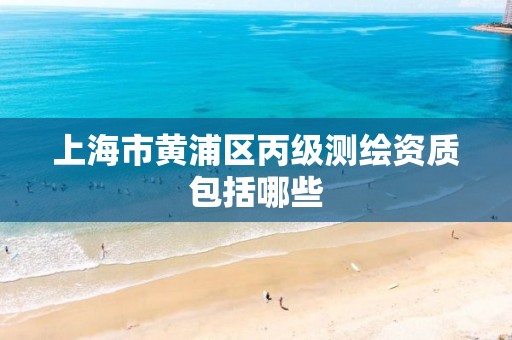 上海市黄浦区丙级测绘资质包括哪些