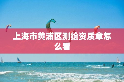 上海市黄浦区测绘资质章怎么看