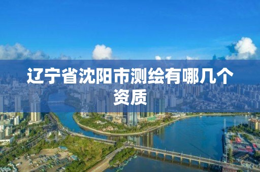 辽宁省沈阳市测绘有哪几个资质