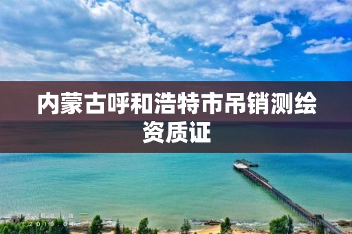 内蒙古呼和浩特市吊销测绘资质证