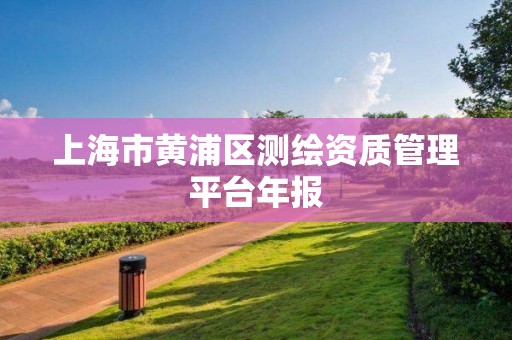 上海市黄浦区测绘资质管理平台年报