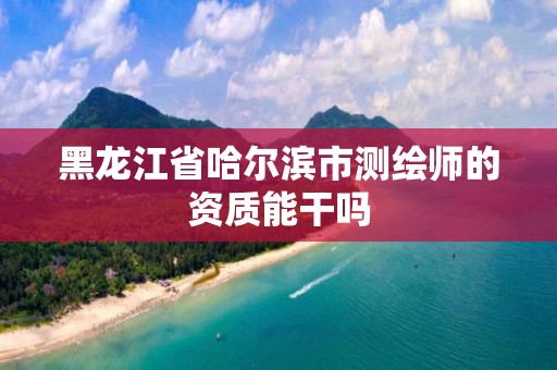 黑龙江省哈尔滨市测绘师的资质能干吗