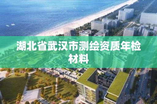 湖北省武汉市测绘资质年检材料