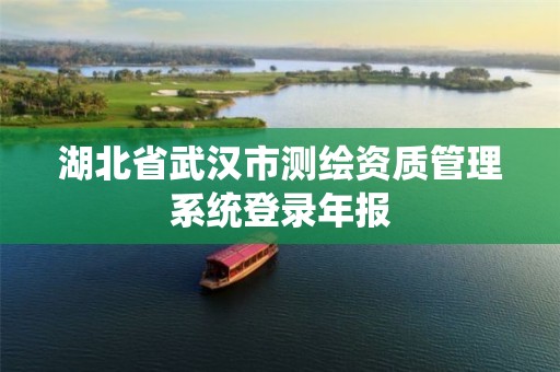 湖北省武汉市测绘资质管理系统登录年报