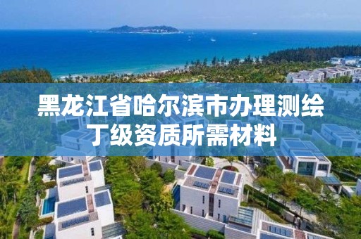 黑龙江省哈尔滨市办理测绘丁级资质所需材料