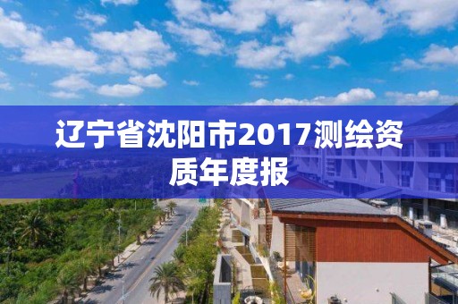 辽宁省沈阳市2017测绘资质年度报