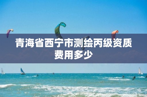 青海省西宁市测绘丙级资质费用多少