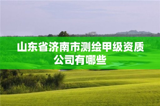 山东省济南市测绘甲级资质公司有哪些