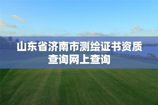 山东省济南市测绘证书资质查询网上查询