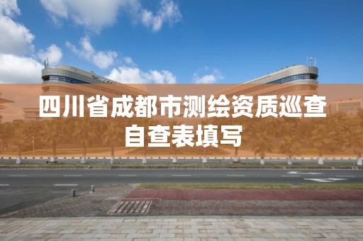 四川省成都市测绘资质巡查自查表填写