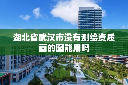 湖北省武汉市没有测绘资质画的图能用吗